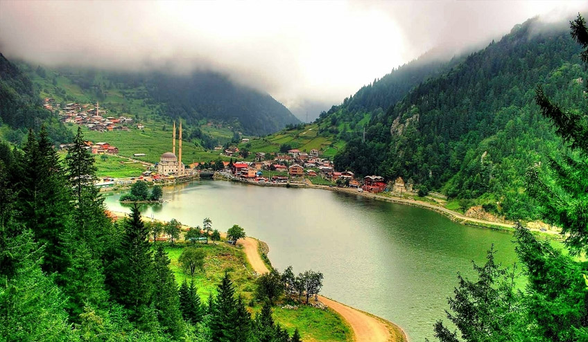 NPuzungöl